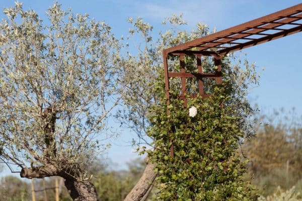 Photographer Mallorca - We have shoot under the blue sky of Mallorca